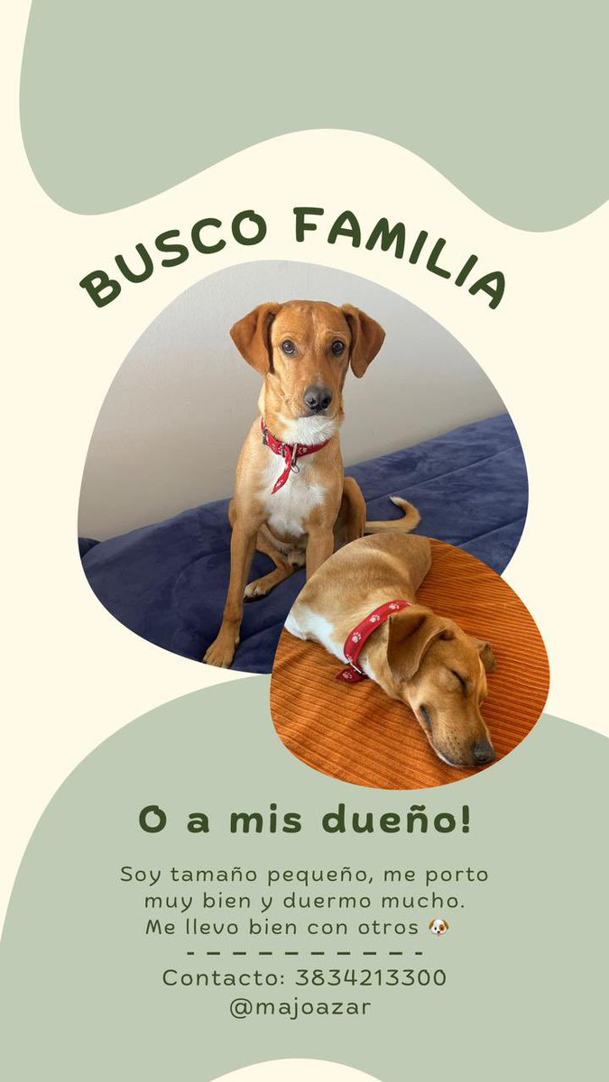 <a href="/VivireNuevaCor/">VivireNuevaCórdoba</a> <a href="/VivireNuevaCba/">VivirenNuevaCórdoba®</a>