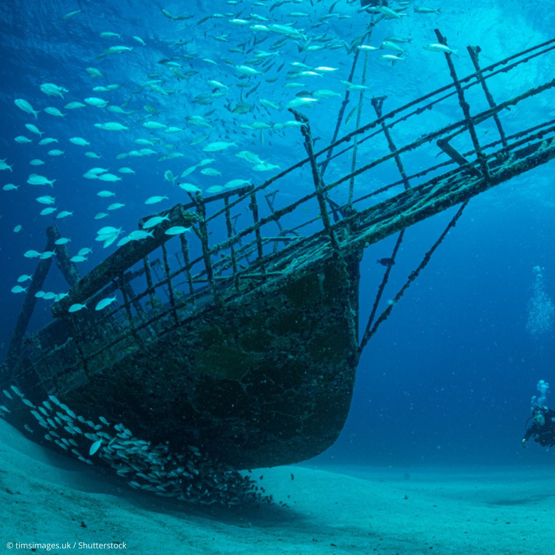 Underwater heritage is an integral part of the cultural heritage of humanity.

But it is threatened by pillaging, from sport divers to treasure hunting.

Help us protect #UnderwaterHeritage.

on.unesco.org/3W9NPCk