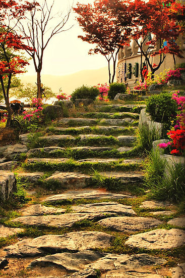 Deadlinedd's tweet photo. Stone Pathway, Bomunho Lake, South Korea #StonePathway #BomunhoLake #SouthKorea https://t.co/LK2KtkJJeE https://t.co/WA0Rwhgvnh