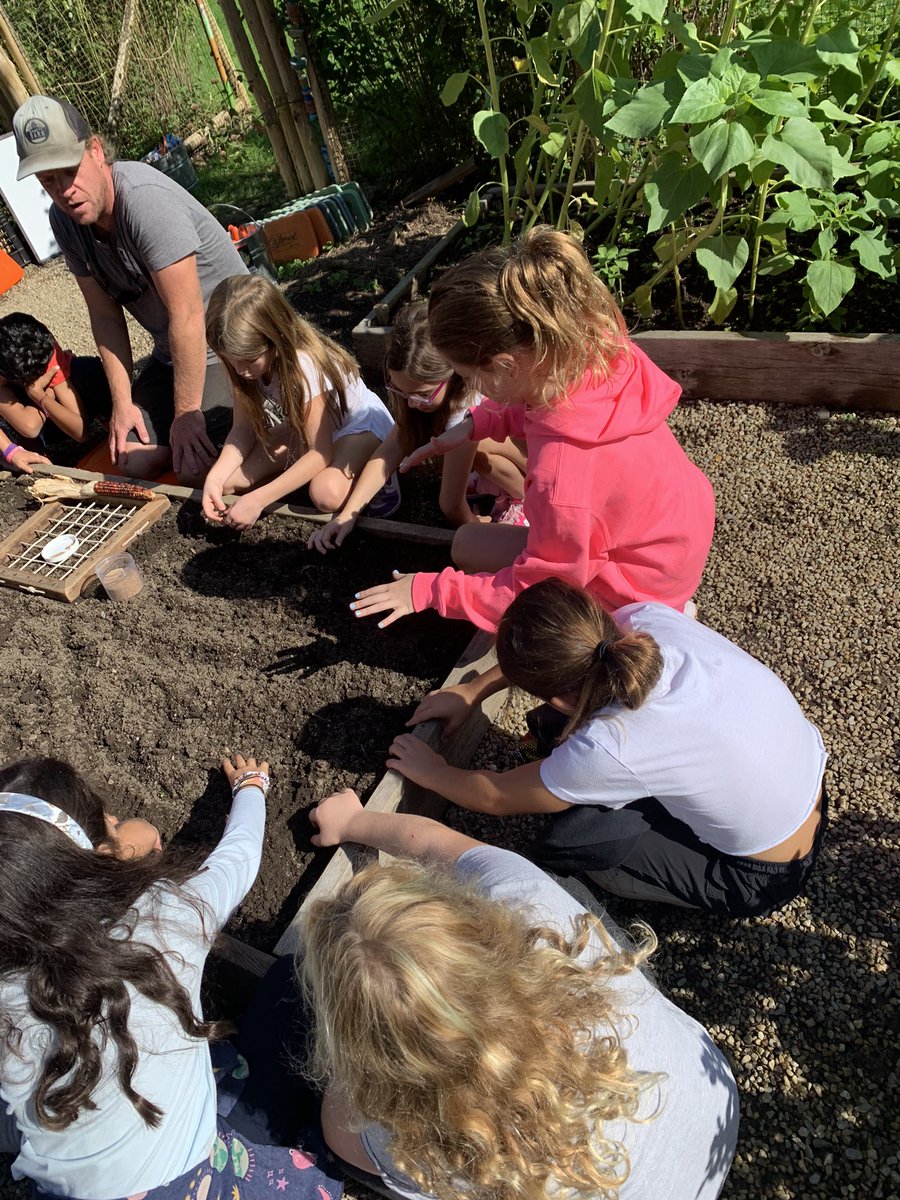 Mary Lattin tweet media