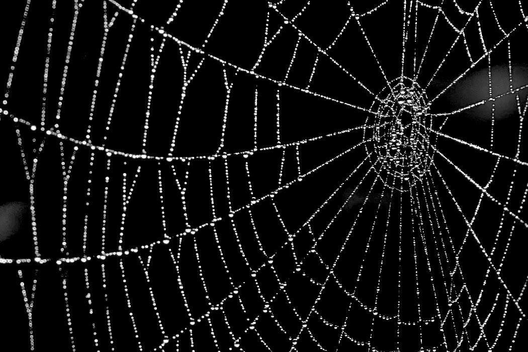 DarkestDespair's tweet image. Is being faithful, too #onerous for you?
You weave a web of lies; nothing true.
Why are you doing this?
Why do you recoil from my kiss?
You loved me once, but now no more.
I guess it’s time to settle the score.
#vss365