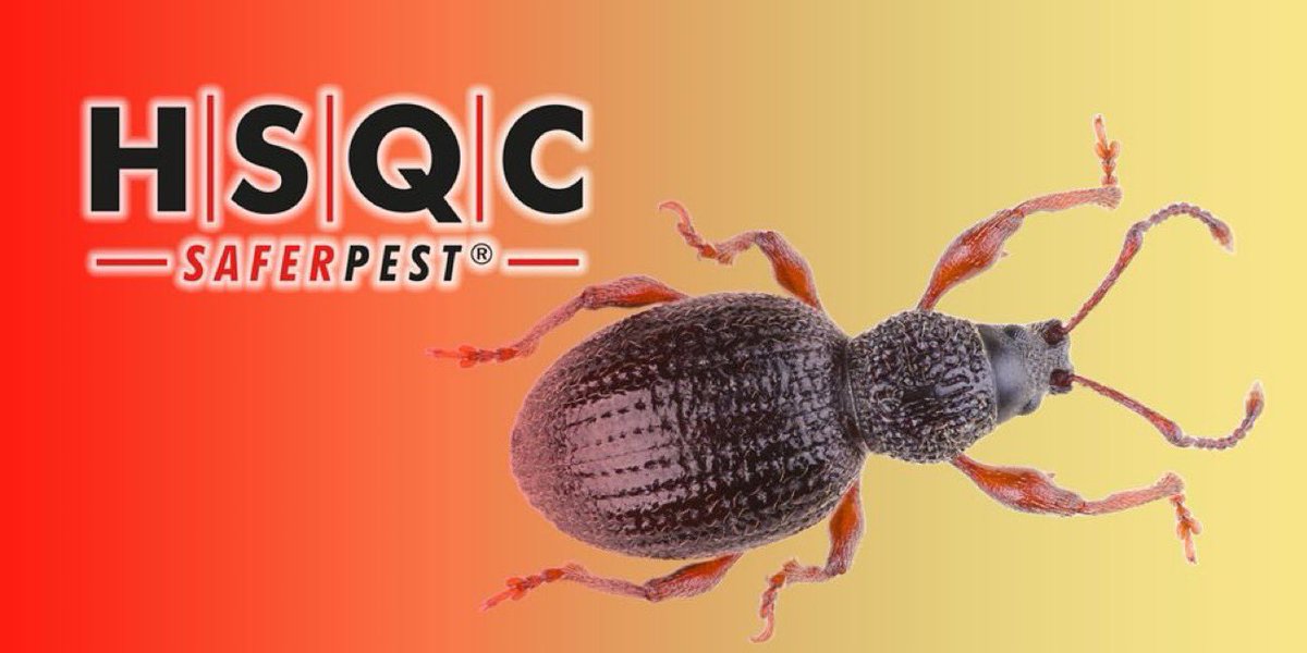 AcadofHosp's tweet photo. Manage your pest control contract nationwide using SERVO online.
Contact SAFERPEST at: saferpest@hsqc.com for a free demonstration or to book a free onsite survey. https://t.co/rt48jWgK5e