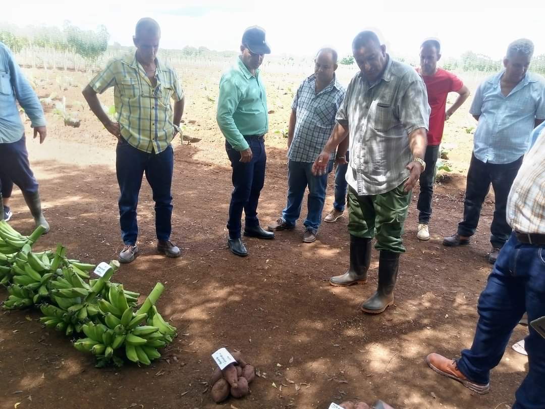 SuselyMorfaG's tweet photo. El Vice Jefe del Departamento Agroalimentario del CC-PCC, intercambió  #hoy con trabajadores de la UBPC Gispert. 
 #MatancerosEnVictoria
@DiazCanelB @DrRobertoMOjeda @MMarreroCruz @RPolancoF @mariofsabines @IzquierdoAlons1 @gpppmatanzas https://t.co/1lZwith6o4