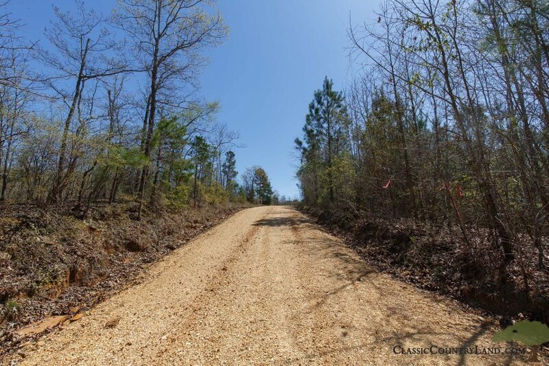 land_listings's tweet photo. Tishomingo, MS | $36,780 | 5.81 Acres | Enchanting Retreat: Discover Tract 5 in Southern Hills - Tishomingo, Mississippi https://t.co/C2hpvipOd7 #residentialproperty #buyland #build #acre #realestate #land #cheapland #investing #land #Mississippi https://t.co/d7g8JsSN5L