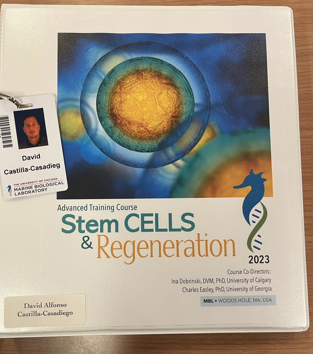 David Castilla-Casadiego 🇨🇴 (@davidcastillac4) on Twitter photo Incredibly thankful for the opportunity to take this advanced training course and improve my skills in Stem Cells and Regeneration at the Marine Biological Laboratory in Woods Hole, MA <a href="/MBLScience/">Marine Biological Laboratory (MBL)</a> Incredibly thankful for the opportunity to take this advanced training course and improve my skills in Stem Cells and Regeneration at the Marine Biological Laboratory in Woods Hole, MA <a href="/MBLScience/">Marine Biological Laboratory (MBL)</a>