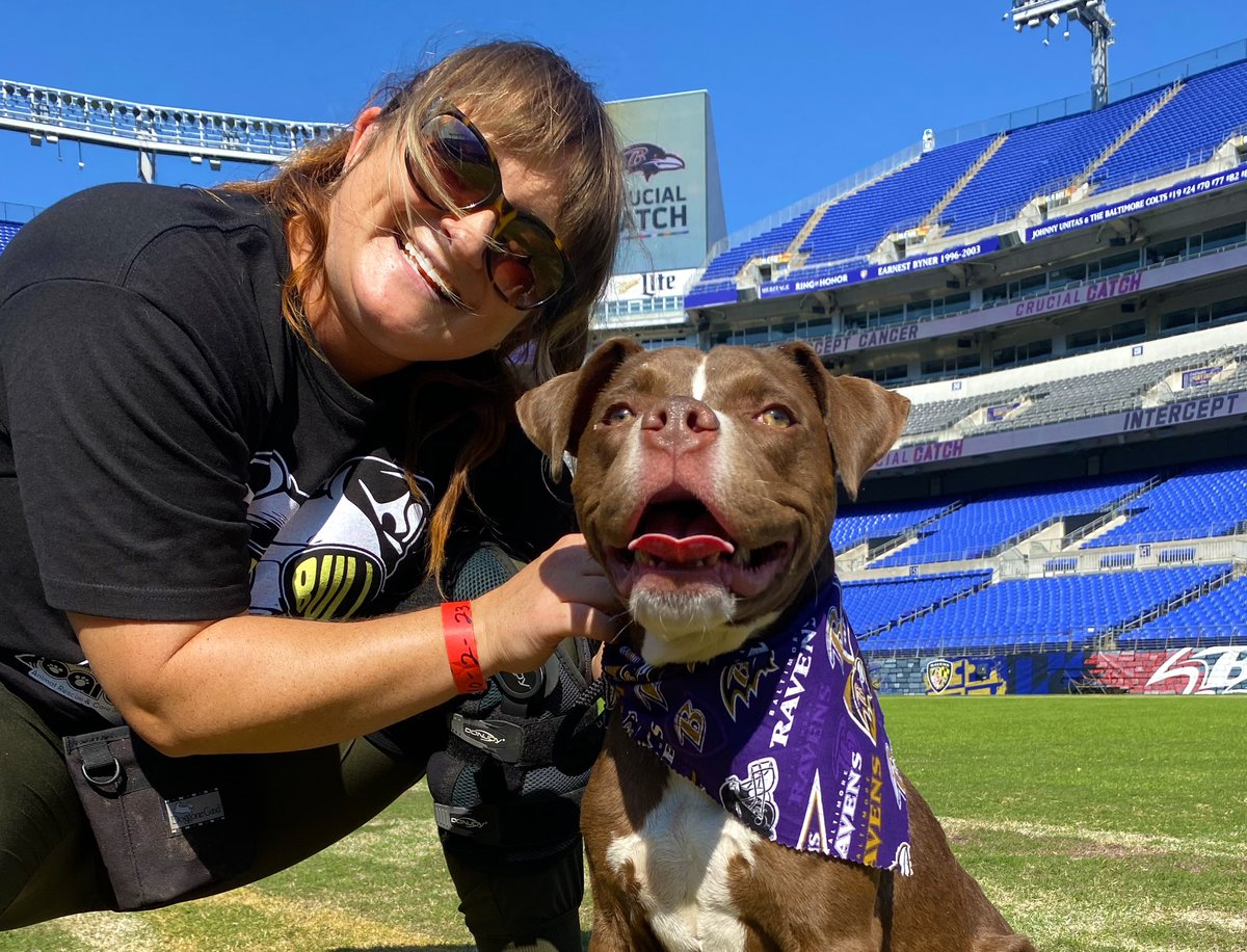 Ravens stadium went to the dogs (and kittens) today! @Ravens @RavensCommunity