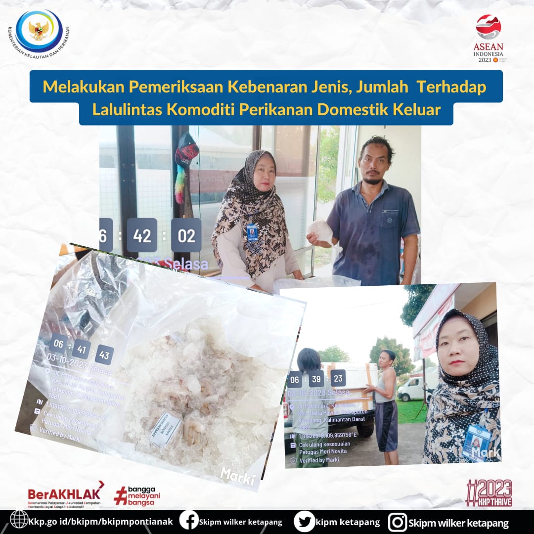 KIPM_ketapang's tweet photo. 03/10/23 Petugas  melakukan pemeriksaan kebenaran jenis, Jumlah terhadap lalu lintas komoditi perikanan Domestik Keluar.

@JimmyElwaren
@Victory_NADS
@TRIANDANA_FQI
#KKPThrive #EkonomiBiru #MenteriKKP #SaktiWahyuTrenggono https://t.co/CEJWoTIyQB