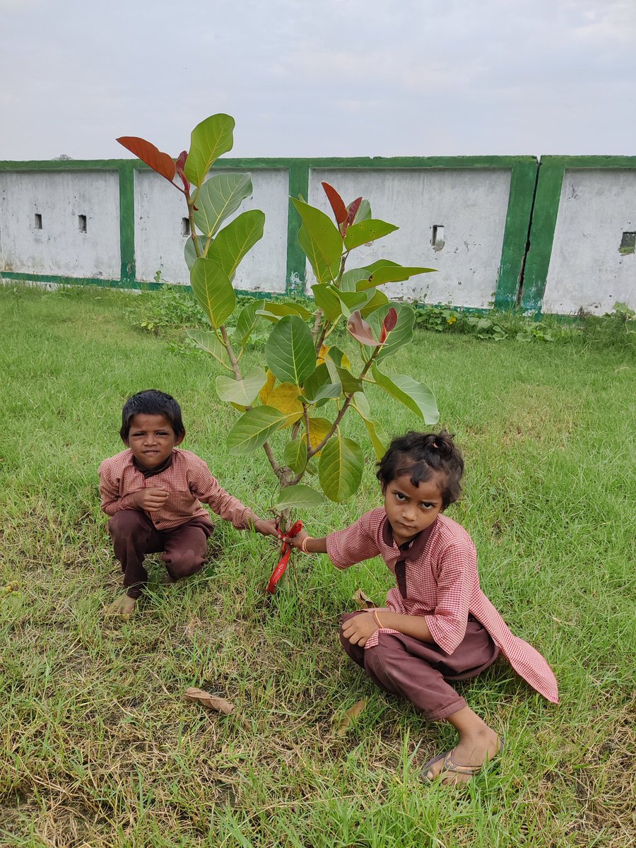 SumitSi48633410's tweet photo. #प्रकृति_मित्र🌳
Name- JAGATPAL , DIKSHA
Designation- STUDENT 
Address- PS MANPUR 
@shikshansamvad
@RedTapeMovement 
@teachersclubup @UNEP @Nature @eriksolheim @myogiadityanath
@narendramodi #nature_friend
साभार- टीम प्रकृति मित्र मिशन शिक्षण संवाद https://t.co/cDhx67Qwvb