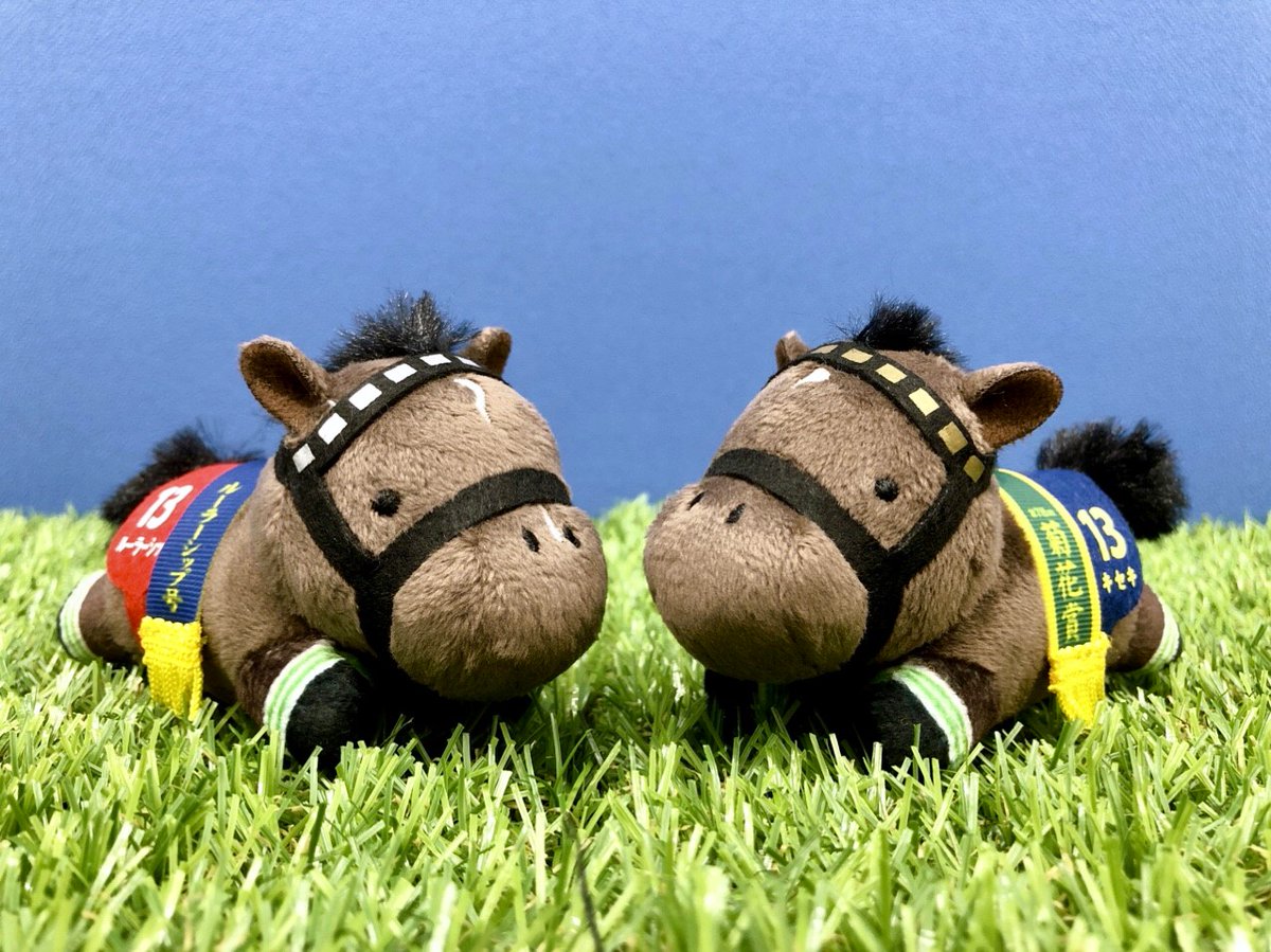 🐎10月商品紹介🐎 「#サラブレッドコレクション」 ねそべりミニ
