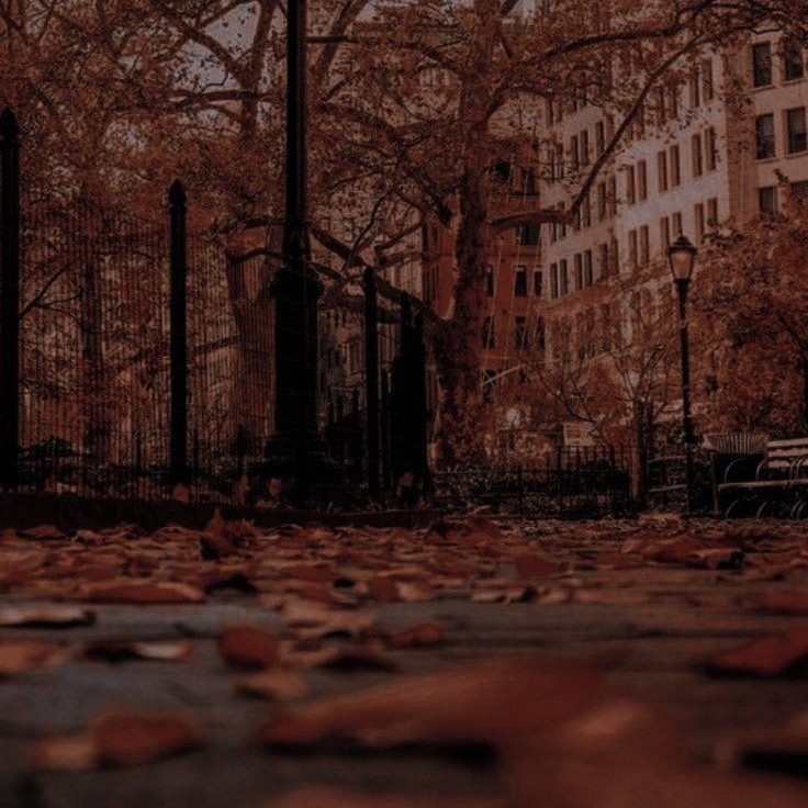 foxroney's tweet photo. October is... 🍂🍁🍄🪵🎃🔥🥮

#october #aesthetic https://t.co/JiD8gAKKVg
