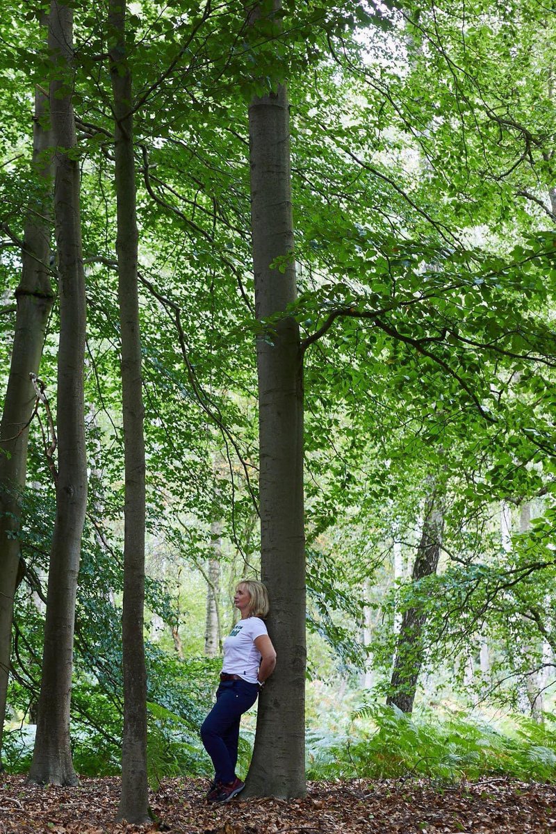 9 Beispiele, was #Waldbaden bedeutet:

♻️ #Entschleunigung 
♻️ Gelebte #Achtsamkeit 
♻️ Langsamkeit
♻️ Innere #Ruhe finden 
♻️ Staunen
♻️ #Glück und Lebensfreude
♻️ Hingabe und Genuß
♻️ #Prävention
♻️ Ankommen und sich erden