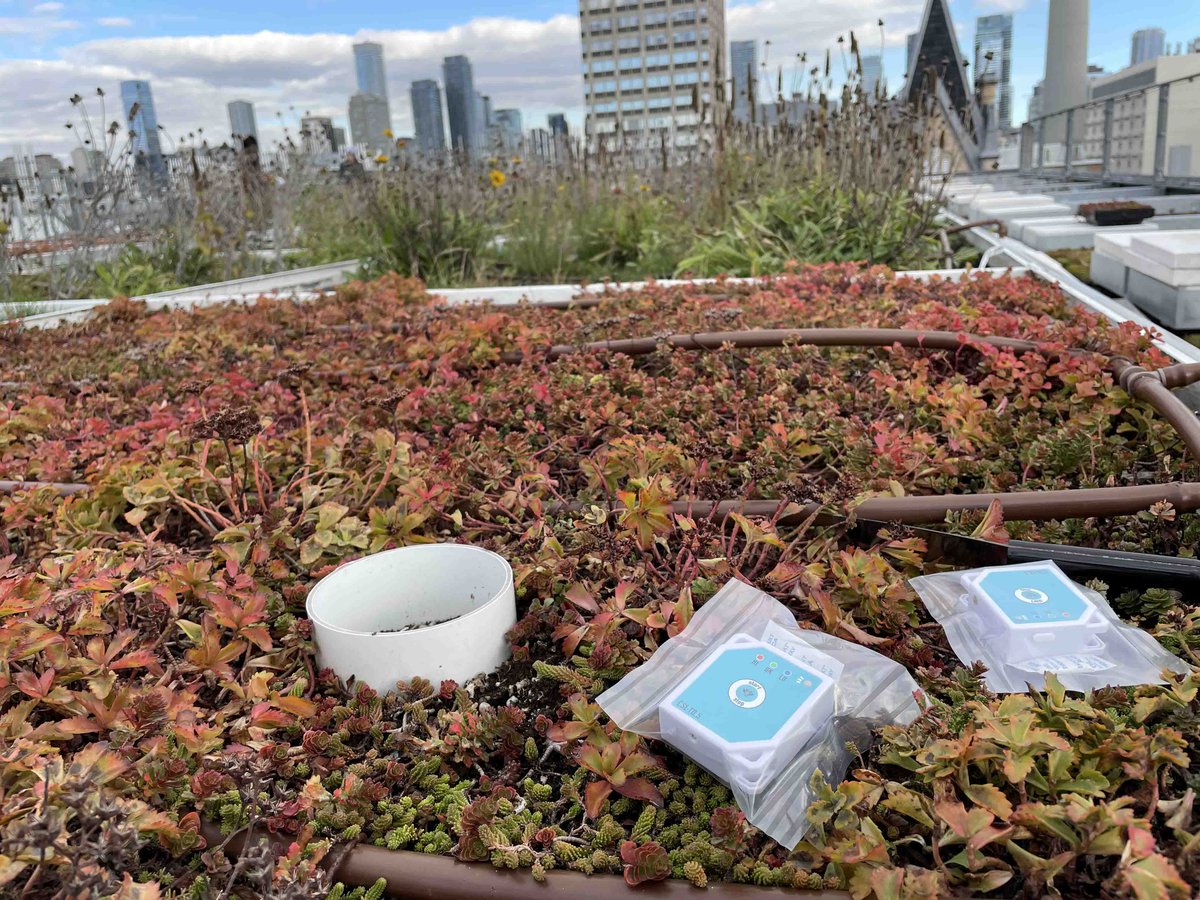 Discover a game-changer in temperature and humidity logging—our UDI approach brings advanced tech to your fingertips without breaking the bank. Curious to see it in action?

For more details, please visit credosense.com/csl-h2-t0-2/

#EnvironmentalMonitoring #CredoSense