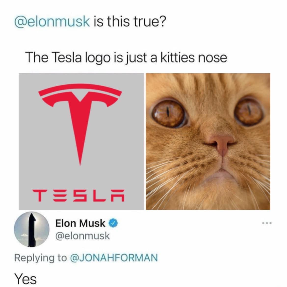 Hele goedemorgen allemaal 😻