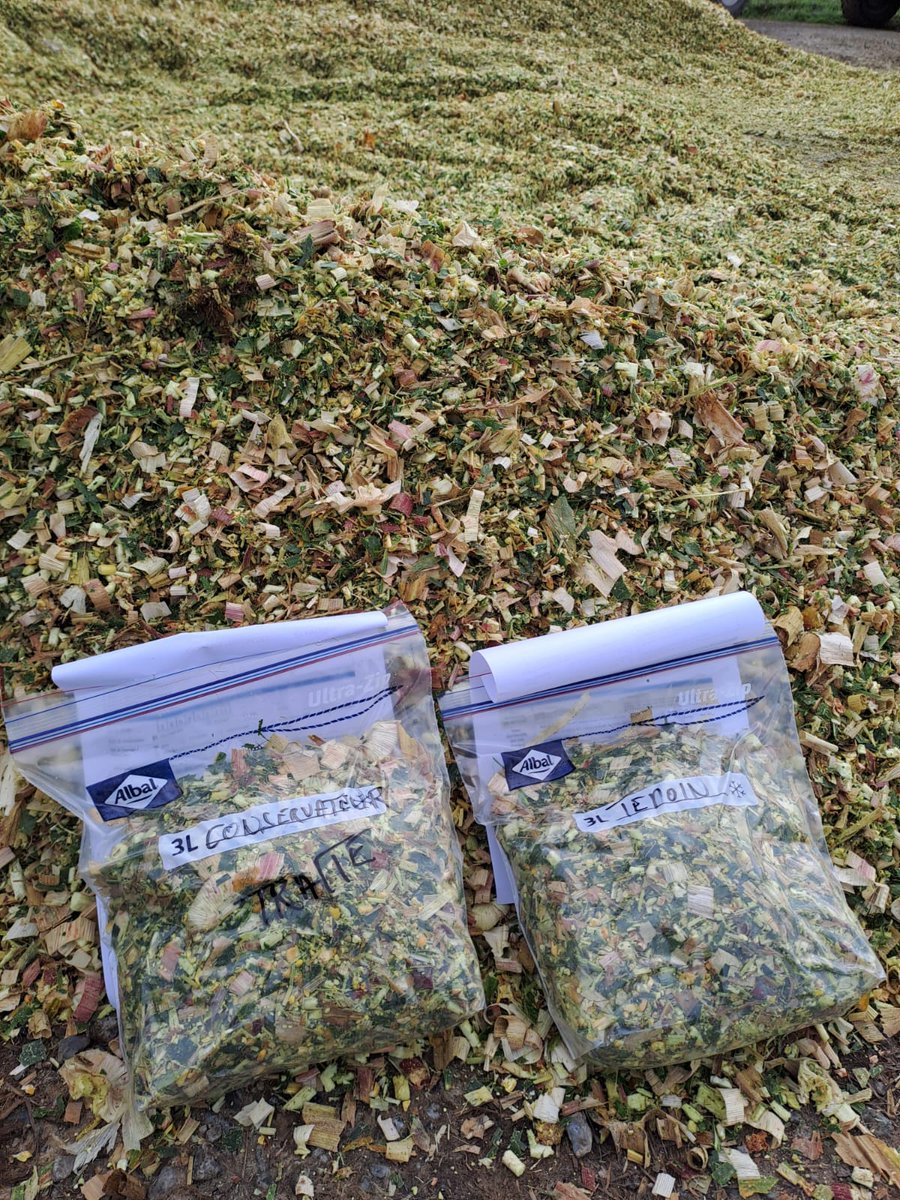 Retour en images sur notre chantier #récolte 🌽 ensilage en Ille-et-Vilaine (35) semaine dernière. 
👉 essai avec/sans conservateur

On attend les résultats 📈 

#ceuxquifontlesessais #ceuxquifontlelait