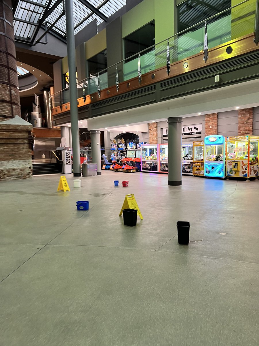 Leon Sjogren tweet media