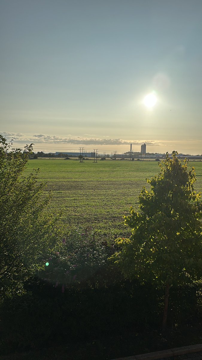 Justin 🙋🏼♂️ tweet media