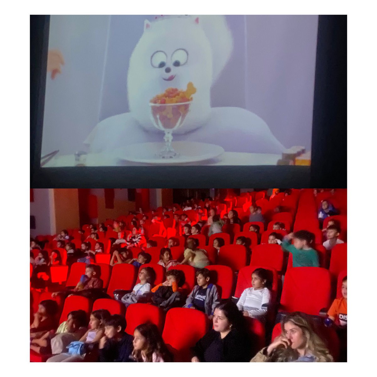 BK Çekmeköy Kampüsü (@bkcekmekoy) on Twitter photo 4 Ekim Hayvanları koruma günü çerçevesinde düzenlediğimiz sinema gecesi ilkokul öğrenci ve öğretmenlerimizin katılımıyla şahane geçti. Emeği geçen tüm paydaşlarımıza teşekkür ederiz! 👏🏻👏🏻👏🏻 Öğrencilerimiz için unutulmaz bir sinema gecesi oldu. 🍿🎥 4 Ekim Hayvanları koruma günü çerçevesinde düzenlediğimiz sinema gecesi ilkokul öğrenci ve öğretmenlerimizin katılımıyla şahane geçti. Emeği geçen tüm paydaşlarımıza teşekkür ederiz! 👏🏻👏🏻👏🏻 Öğrencilerimiz için unutulmaz bir sinema gecesi oldu. 🍿🎥