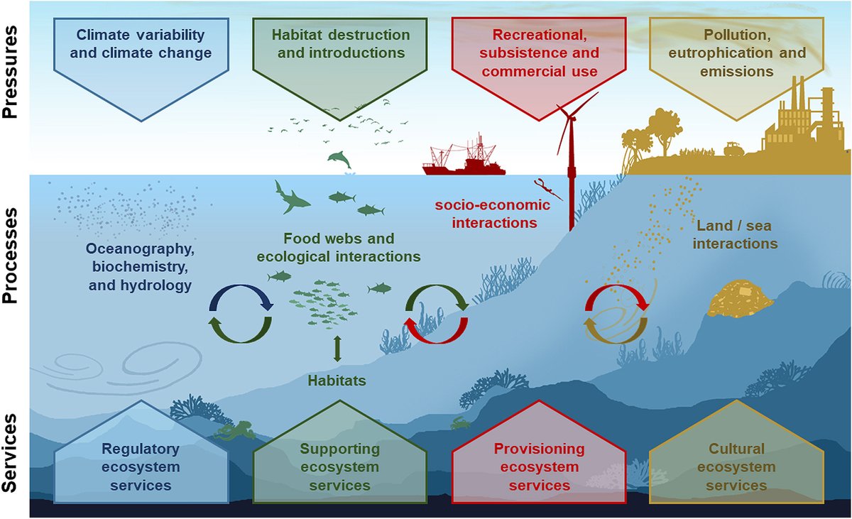 Science Officer Ana Rodriguez & @sheilaheymans' review article was published today in @FrontMarineSci on 'Using ecosystem models to inform ecosystem-based fisheries management in Europe', linked to @EcoScopium: tinyurl.com/2p8th9du