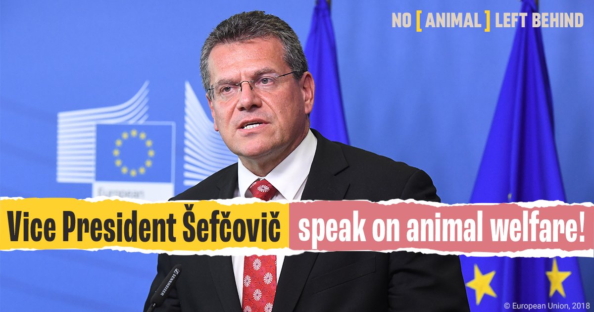 Current legislation does not meet the welfare we want for animals in the EU. @MarosSefcovic, it needs to be updated! #DeliverTheProposal #NoAnimalLeftBehind