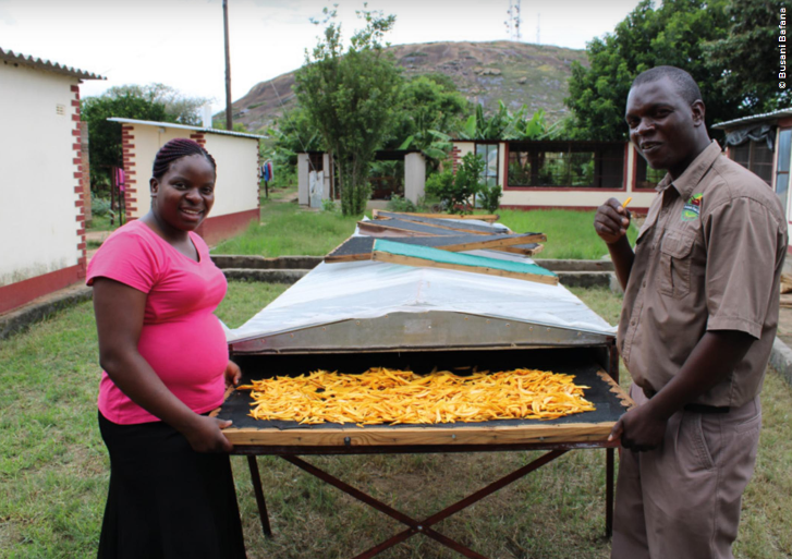 #Reading about a🔟-year journey that <a href="/ACIARAustralia/">ACIAR</a> &amp; <a href="/IDRC_CRDI/">IDRC | CRDI</a> have taken together in funding agricultural research to inform #policy &amp; help improve #Food &amp; #nutrition security in East &amp; Southern Africa 🌍.

📌bit.ly/46f1H2r

#ACIARImpact