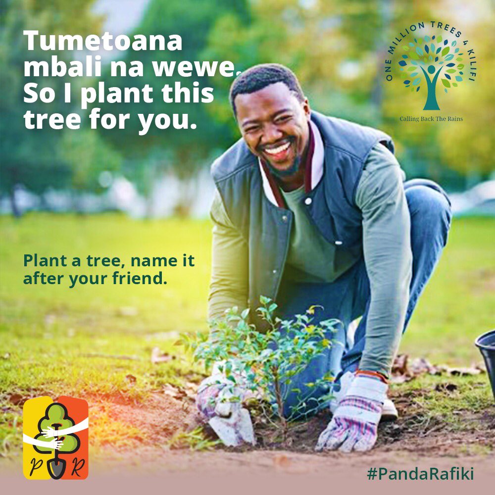 OneMillionTrees4Kilifi (@onemillion_tree) on Twitter photo That one friend, take a minute and think about him. The one who holds your hand when you down. Plant a tree and make him feel special. #Pandarafiki #onemilliontrees4kilifi <a href="/thellesitrust/">Thellesi Trust</a> <a href="/maono_space/">Maono Space</a> <a href="/MalalaFund/">Malala Fund</a> <a href="/unfoundation/">United Nations Foundation</a> <a href="/UNEP/">UN Environment Programme</a> <a href="/UNEP_Africa/">UN Environment Programme in Africa</a> <a href="/UNYouthEnvoy/">UN Youth Envoy</a> That one friend, take a minute and think about him. The one who holds your hand when you down. Plant a tree and make him feel special. #Pandarafiki #onemilliontrees4kilifi <a href="/thellesitrust/">Thellesi Trust</a> <a href="/maono_space/">Maono Space</a> <a href="/MalalaFund/">Malala Fund</a> <a href="/unfoundation/">United Nations Foundation</a> <a href="/UNEP/">UN Environment Programme</a> <a href="/UNEP_Africa/">UN Environment Programme in Africa</a> <a href="/UNYouthEnvoy/">UN Youth Envoy</a>