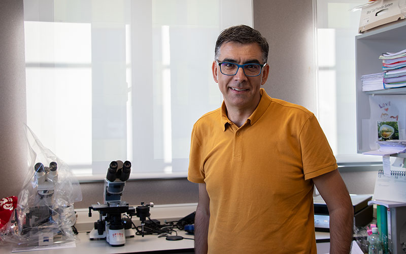 INVESTIGACIÓN 🔬 | Investigadores del <a href="/ibbtec/">IBBTEC</a> descubren la importancia de la ruta TOR, implicada en cáncer o diabetes, en la coordinación entre el crecimiento y la división de las células

El grupo de Alberto Sánchez ha publicado los resultados en la revista PLOS Biology