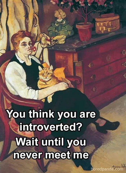 #introvert #funny #meme #cats https://t.co/8EtAOEi2m8<a href="/tag/introvert"class="tags">#introvert</a><a href="/tag/funny"class="tags">#funny</a><a href="/tag/meme"class="tags">#meme</a><a href="/tag/cats"class="tags">#cats</a>