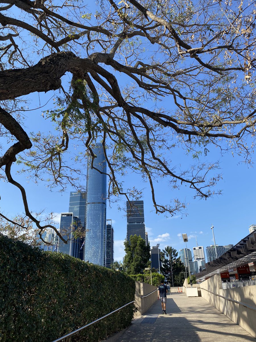 コフスハーバーでのファーム生活を終えて、ブリスベンに帰ってきました😌