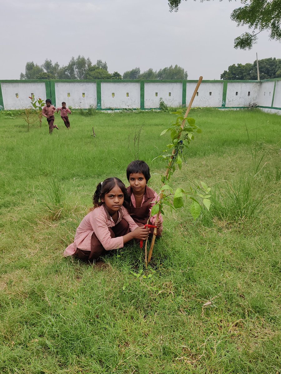 SumitSi48633410's tweet photo. #प्रकृति_मित्र🌳
Name- PALAK, MORKALI
Designation- STUDENT 
Address- PS MANPUR 
@shikshansamvad
@RedTapeMovement 
@teachersclubup @UNEP @Nature @eriksolheim @myogiadityanath
@narendramodi #nature_friend
साभार- टीम प्रकृति मित्र मिशन शिक्षण संवाद https://t.co/hZIHqW7zYq