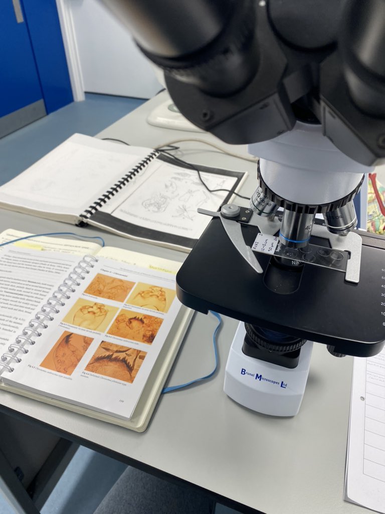 Dr Sarah Walton (@geog_sarah) on Twitter photo Had a fantastic week last week at <a href="/UoSGeogEnv/">Geography & Environmental Science at Southampton</a> with <a href="/Palaeolimnology/">Pete Langdon</a> looking at Icelandic chironomids! I’m very excited to see what they reveal! Had a fantastic week last week at <a href="/UoSGeogEnv/">Geography & Environmental Science at Southampton</a> with <a href="/Palaeolimnology/">Pete Langdon</a> looking at Icelandic chironomids! I’m very excited to see what they reveal!