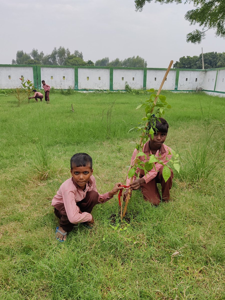 SumitSi48633410's tweet photo. #प्रकृति_मित्र🌳
Name- ROHIT , JAGDEESH 
Designation- STUDENT
Address- PS MANPUR 
@shikshansamvad
@RedTapeMovement 
@teachersclubup @UNEP @Nature @eriksolheim @myogiadityanath
@narendramodi #nature_friend
साभार- टीम प्रकृति मित्र मिशन शिक्षण संवाद https://t.co/5U240hmE8f