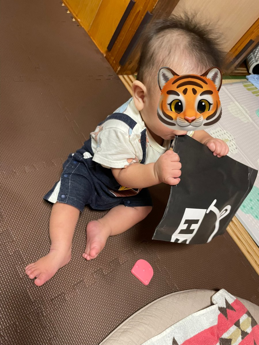 tandi_ga_tandi's tweet photo. BiSHの封筒で遊ぶ息子

会報誌来ました。これが最後？まだ来るのかな？
#BiSH https://t.co/evYrA3zohe