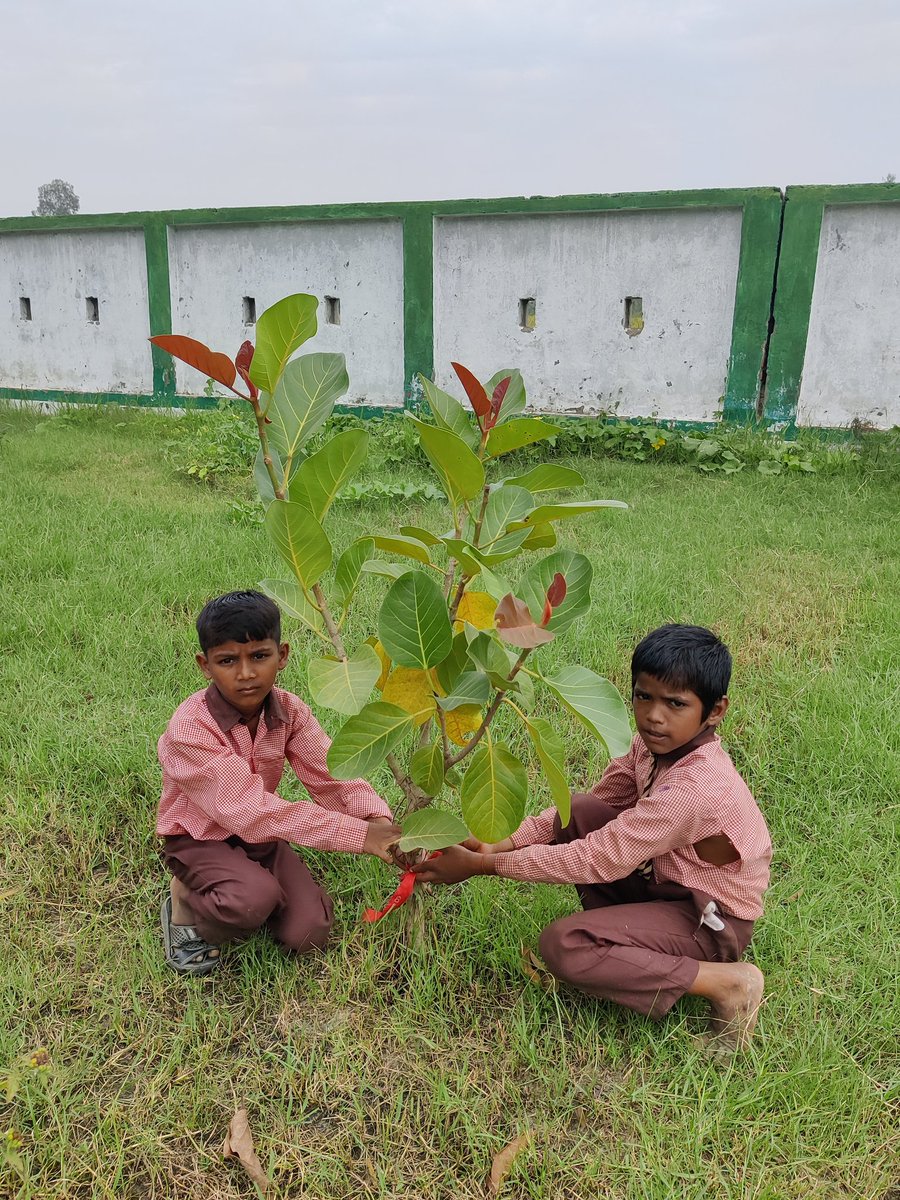 SumitSi48633410's tweet photo. #प्रकृति_मित्र🌳
Name- VIVEK , KEESHANPAL
Designation- STUDENT 
Address- PS MANPUR 
@shikshansamvad
@RedTapeMovement 
@teachersclubup @UNEP @Nature @eriksolheim @myogiadityanath
@narendramodi #nature_friend
साभार- टीम प्रकृति मित्र मिशन शिक्षण संवाद https://t.co/ZwHKgi17P0