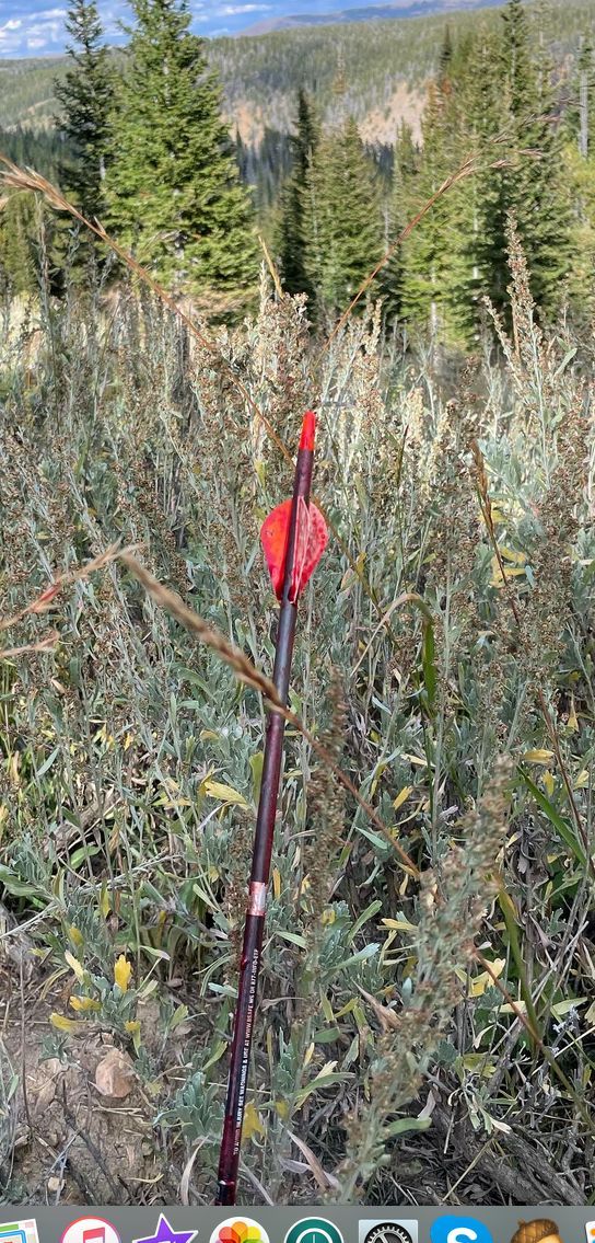 Great color #longridgearchery
How you like to find them.
#abowyerbroadheads #vanetecvanes 
buff.ly/3F7z1MN