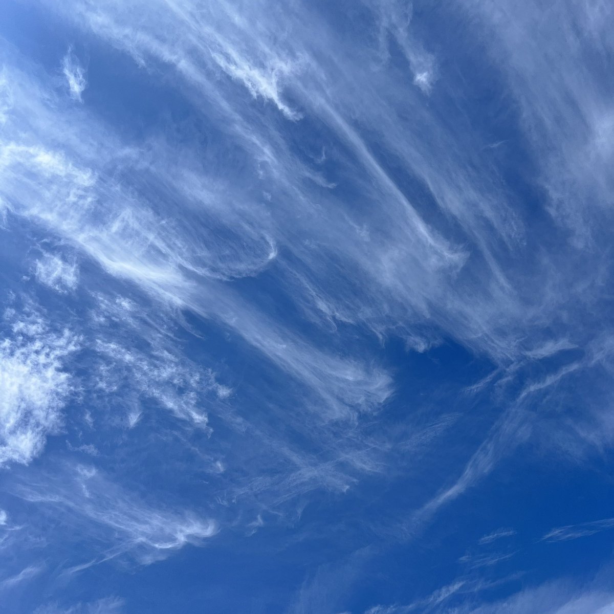 こんにちは。10月。
お箸でぐるぐるしたら大きな綿菓子ができそうな雲おいしそ☁️
秋ですねぇ……！