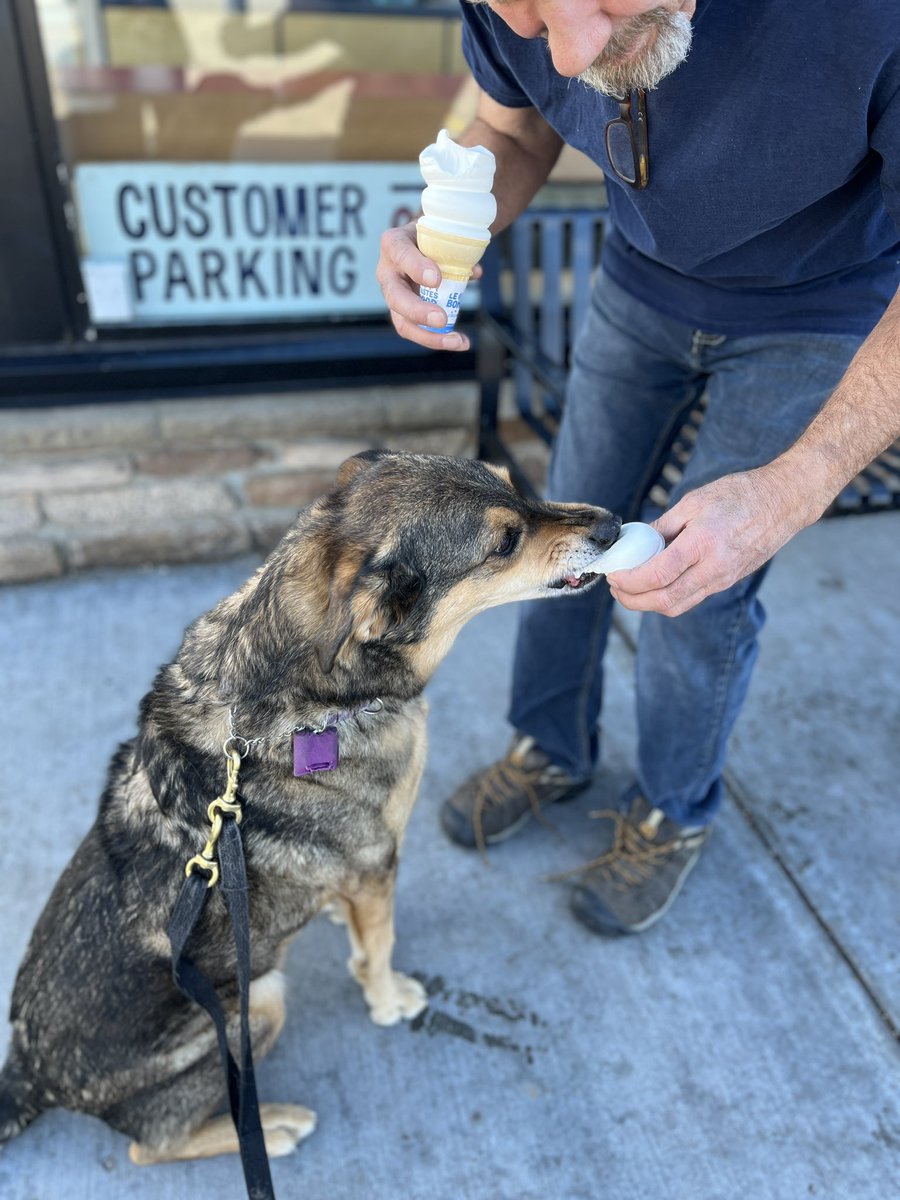 gigoodog's tweet photo. Dad helping me with my #PupCup. So delicious! https://t.co/Drz4yux7Pp