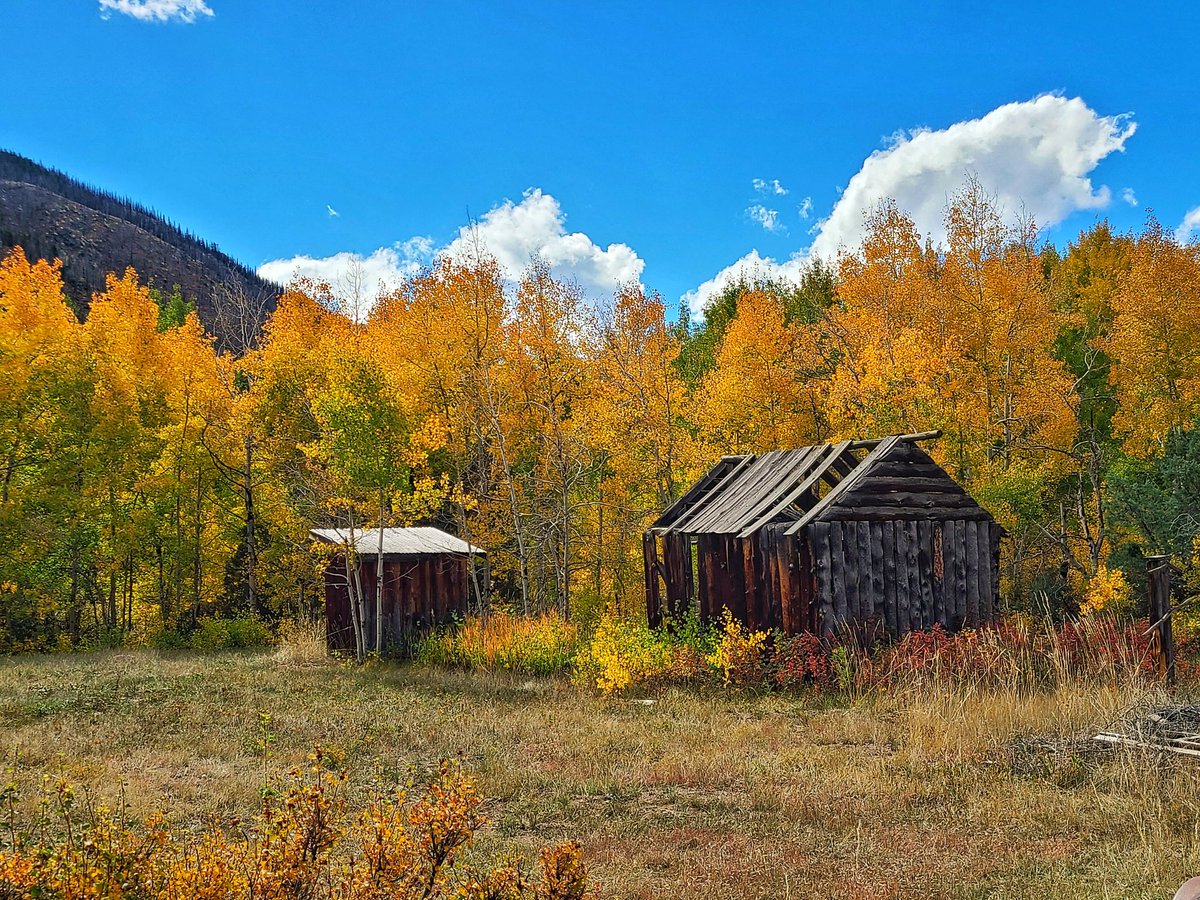 QuirkyGardener's tweet photo. In other news, went on an adventure up the Poudre Canyon to find signs of Autumn. No regrets! #cowx #Autumn #leafpeeping #noco #poudreriver #Cameronpass #Colorado @Colorado https://t.co/TdOc0cuxBn
