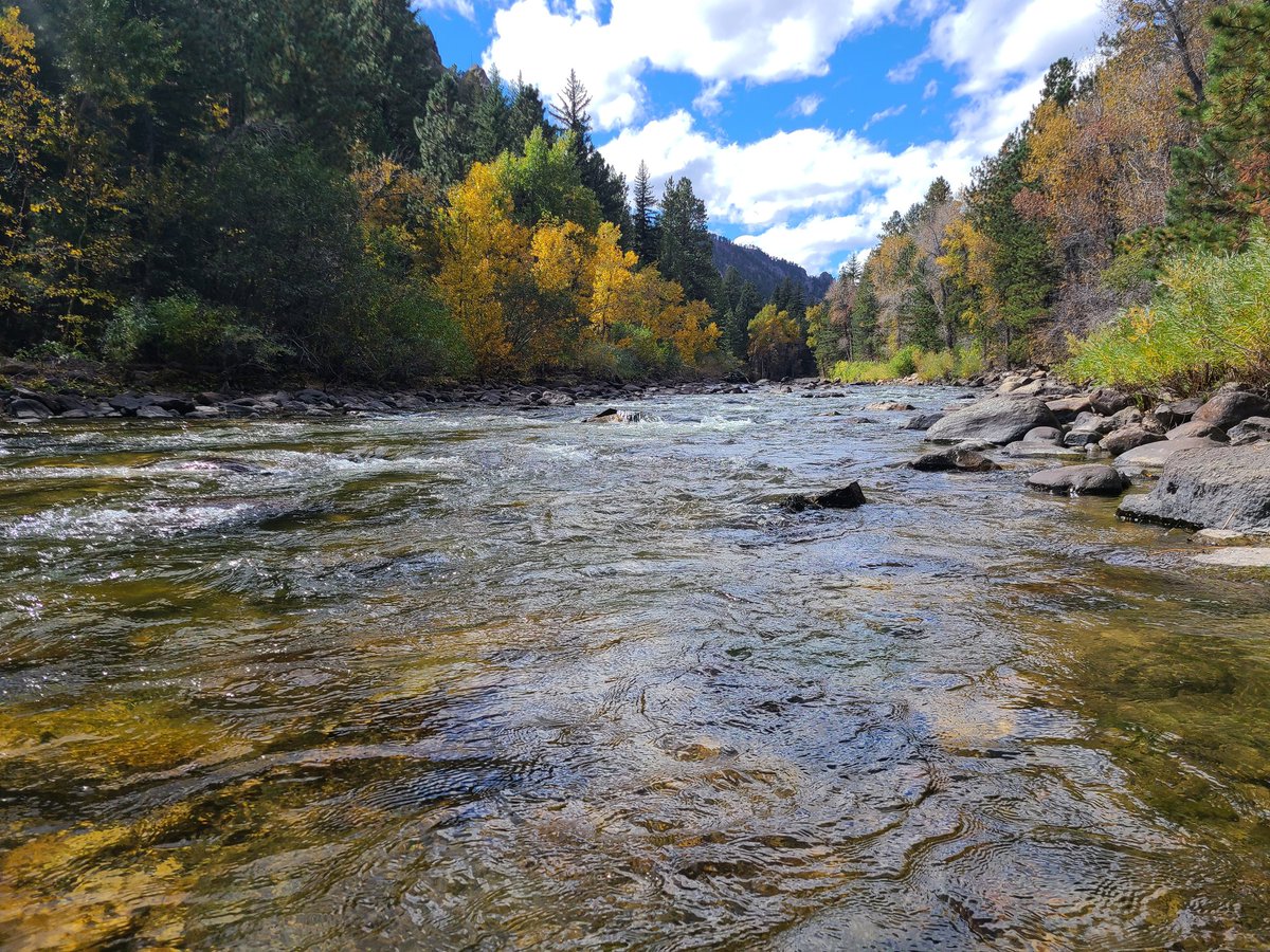 QuirkyGardener's tweet photo. In other news, went on an adventure up the Poudre Canyon to find signs of Autumn. No regrets! #cowx #Autumn #leafpeeping #noco #poudreriver #Cameronpass #Colorado @Colorado https://t.co/TdOc0cuxBn