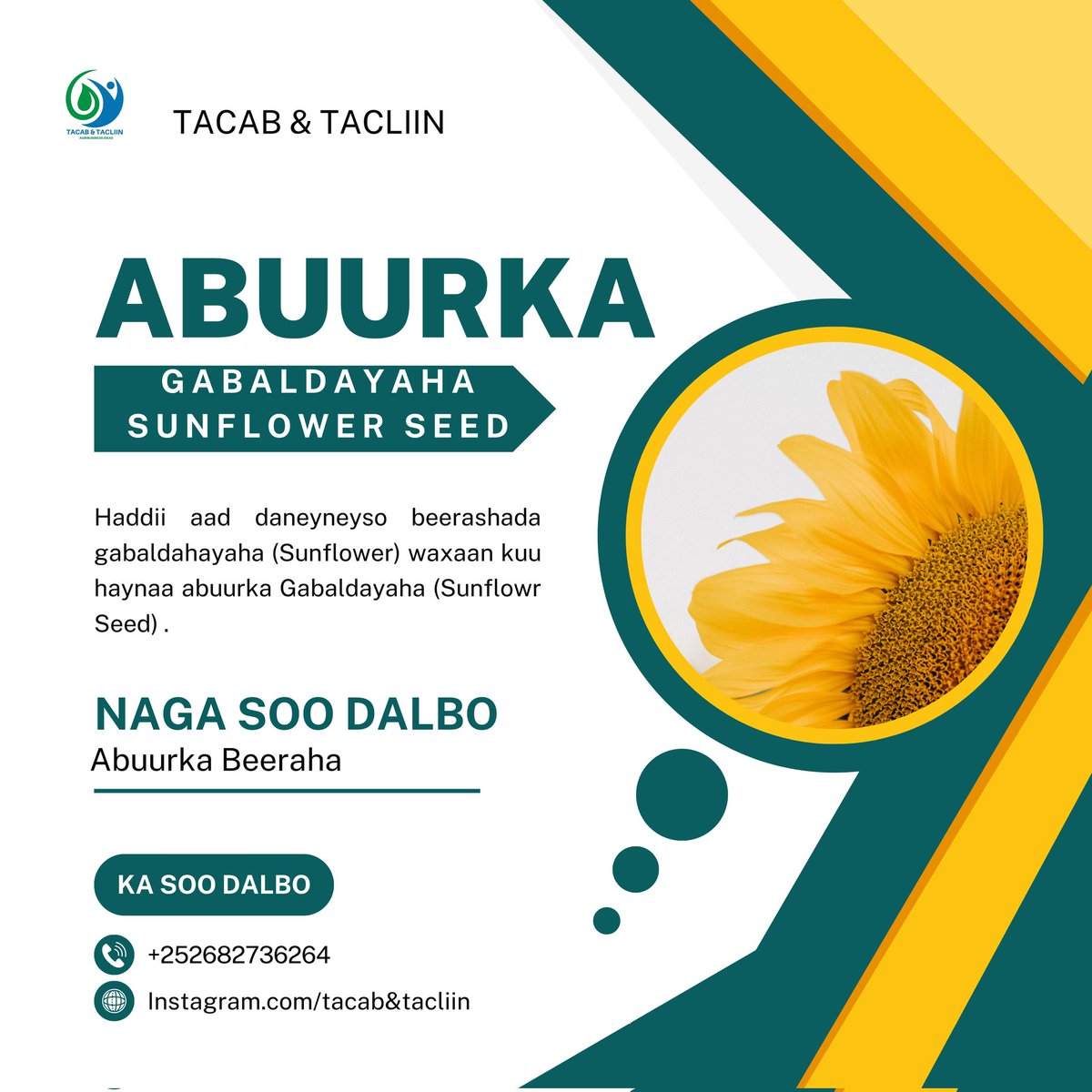 Tacab & Tacliin Channel tweet media