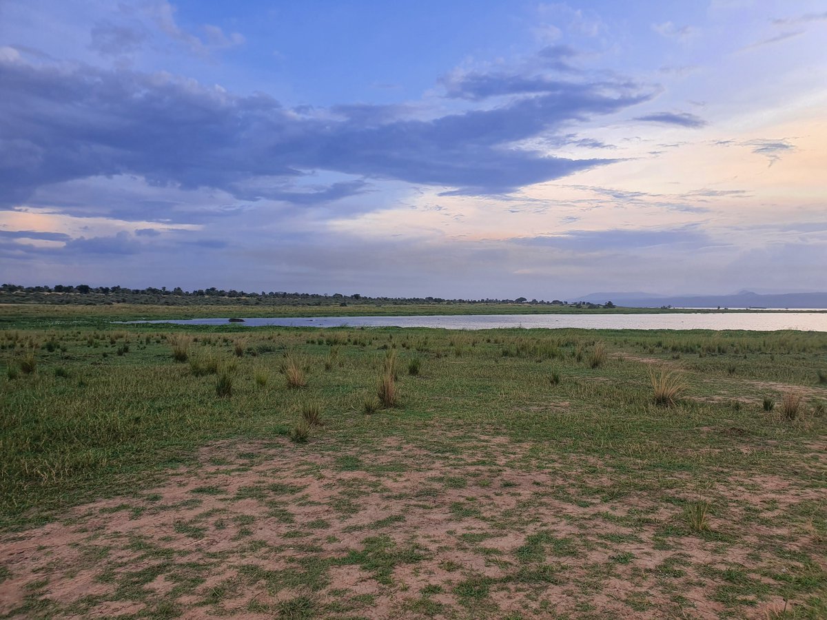 SeasonEvents100's tweet photo. One of the lowest points of Uganda - The Delta point in Murchison Falls National Park, a turn point from the game drive, you get a feel of accomplishment once you achieve seeing all the game you had on your checklist.  Plan for such epic journeys #UnlockingTheExtraordinaryAtSet https://t.co/6rByZE88Da