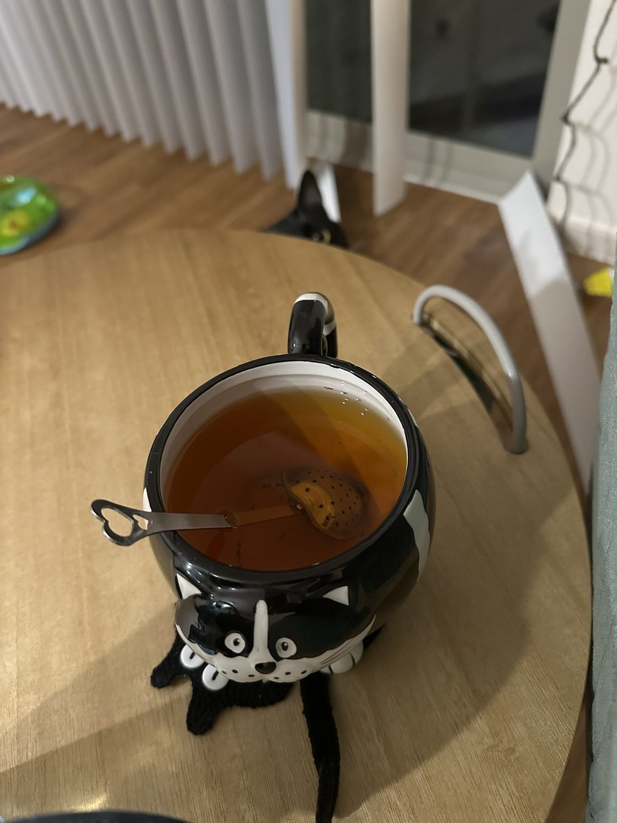 existentialrobo's tweet image. Being normal about the cats