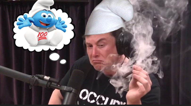 BS9000Coin's tweet photo. Just thinking about @babysmurf9000 👀

#BABYSMURF9000 #ELON2NDX #BS9000 #BABYSMURF https://t.co/QmllY9z38j