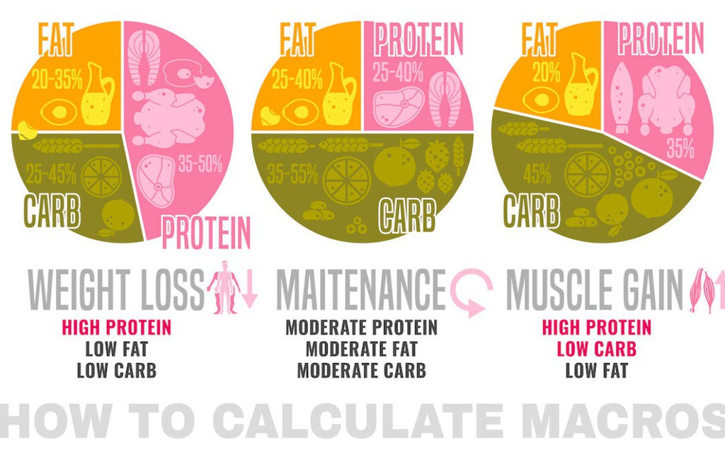 CrazyFitnessGuy's tweet image. This blog illuminates the importance of knowing your macronutrient ratios and guides you on how to calculate your macros for fat loss and performance.

Read more 👉 lttr.ai/AETSN

#FindYourMacros #MacroCalculator #MacroRatio