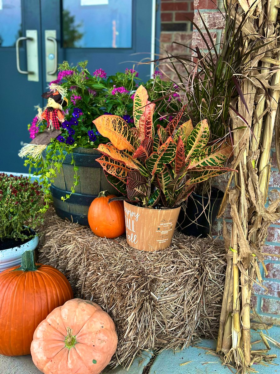 Summer King tweet media