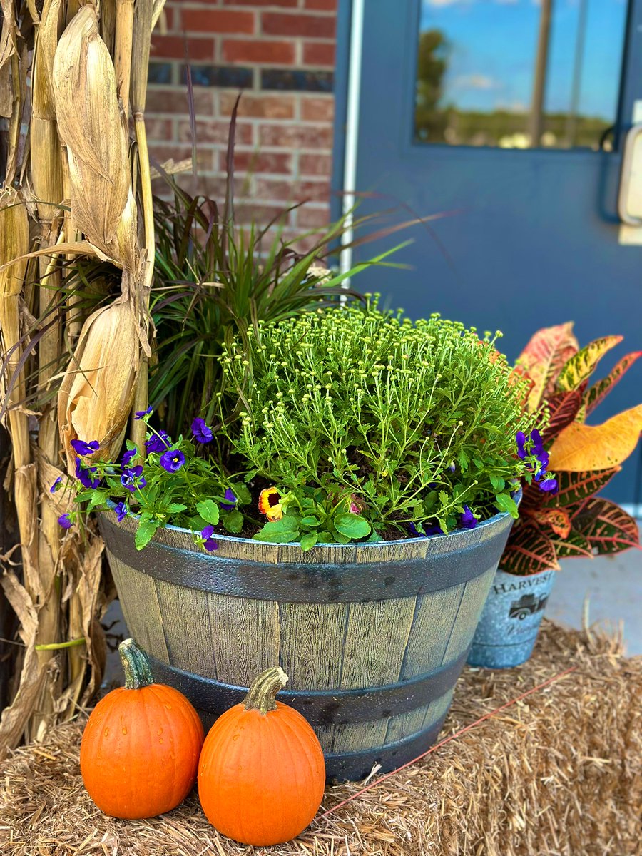 Summer King tweet media