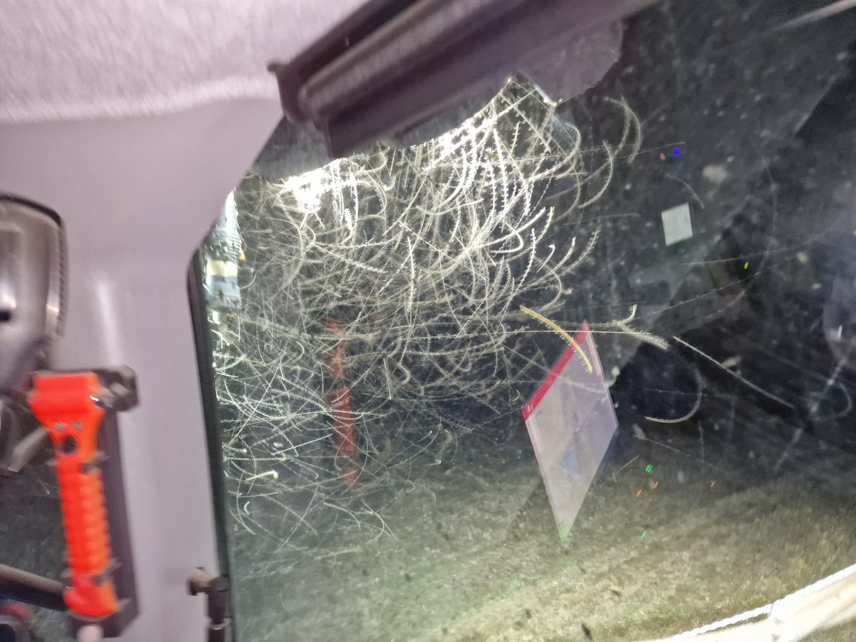 Il n y a plus d insectes 😎🤣