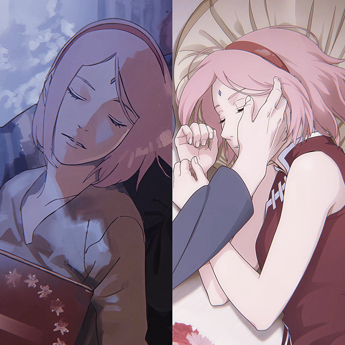 sakuslover's tweet photo. sleeping beauty https://t.co/2GQqJjfi2p