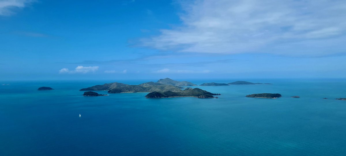 Ben Shepherd tweet media