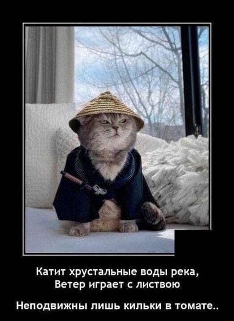 Всем утра!)))
