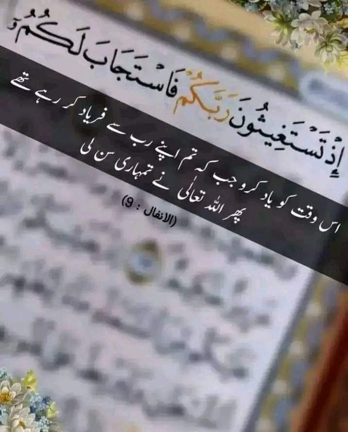 اَلسَّــــــــــــــــلاَمْ عَلَيْـــــــــــــــكُم💚🌿🍃
صـبـــــح بـــــخــــیــــر 💛✨😇

دعا نہ چھوڑیں ورنہ آپ قبولیت سے محروم ہو جائیں گے
"أدعوني أستجب لكم"
"تم مجھے پکارو میں تمہاری دعا قبول کروں گا".
 ( المؤمن :آیت 60)
صلی اللہ علیہ وآلہ وسلّم ❤